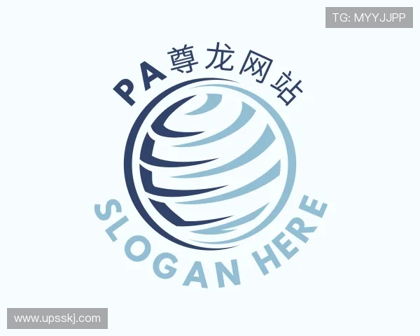 解读PA尊龙网站