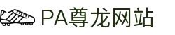 PA尊龙凯时 - 人生就是搏!